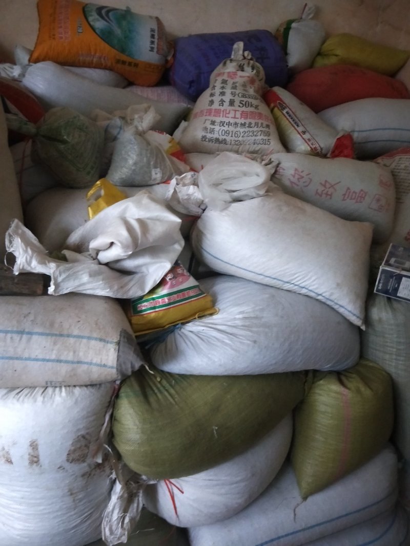 蚕豆，干蚕豆，今年新收的，炒煮炖煨都好吃的。