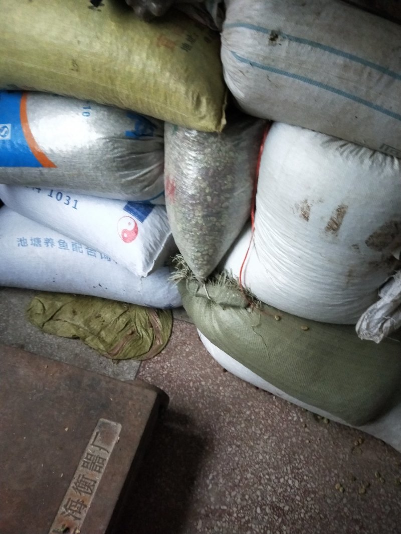 蚕豆，干蚕豆，今年新收的，炒煮炖煨都好吃的。