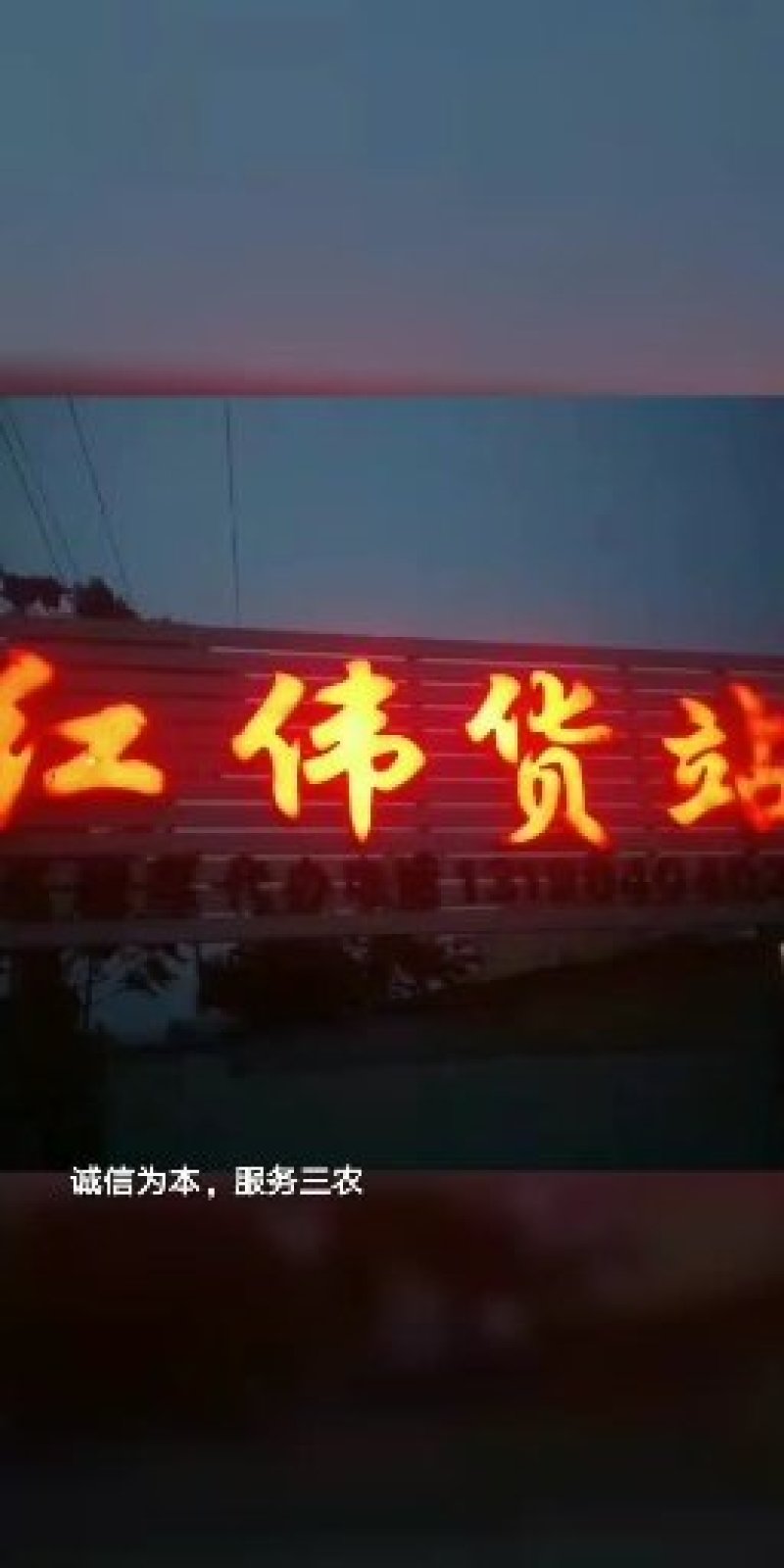 供应辽宁20000亩南瓜，黄金2号质量有保证