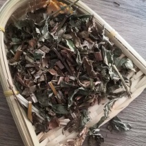 泽兰中药材批发泽兰