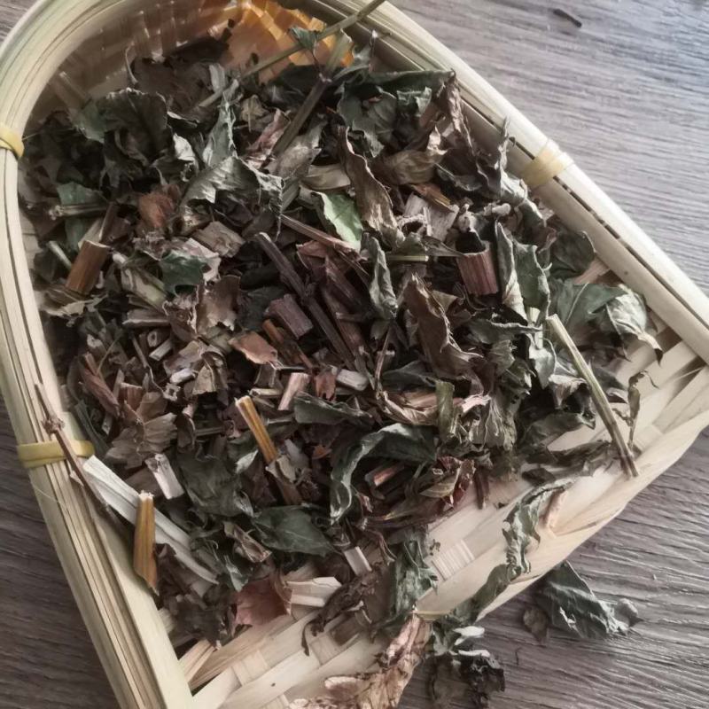 泽兰中药材批发泽兰