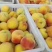 【惊爆价】安徽砀山精品黄桃大量上市电商果罐头厂