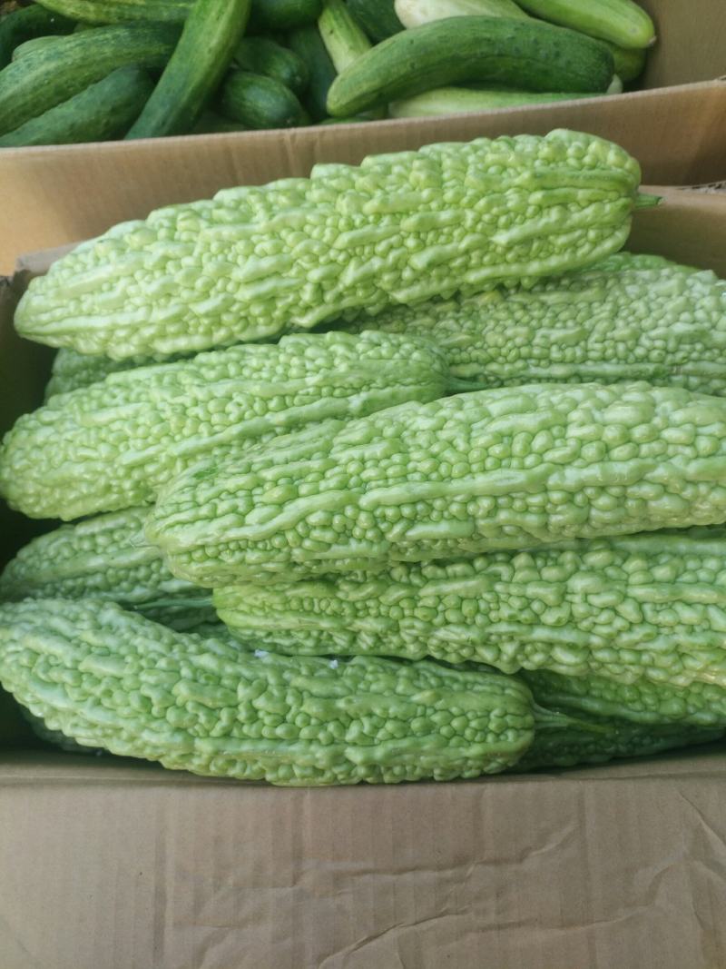 苦瓜白玉苦瓜浏阳特有的精品白玉苦瓜口感清纯