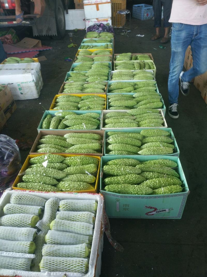 苦瓜白玉苦瓜浏阳特有的精品白玉苦瓜口感清纯
