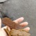油枯