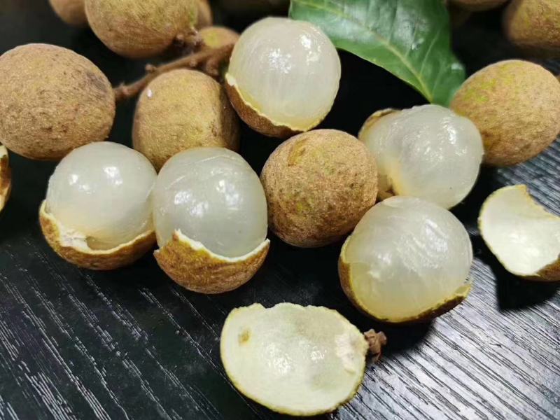 龙眼