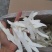 山药片干怀山片山药干怀山干怀山干片山药干片