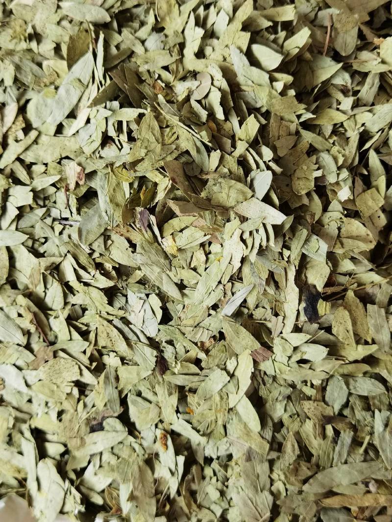 番泻叶新货番泻叶天然药材色泽鲜明品质保证