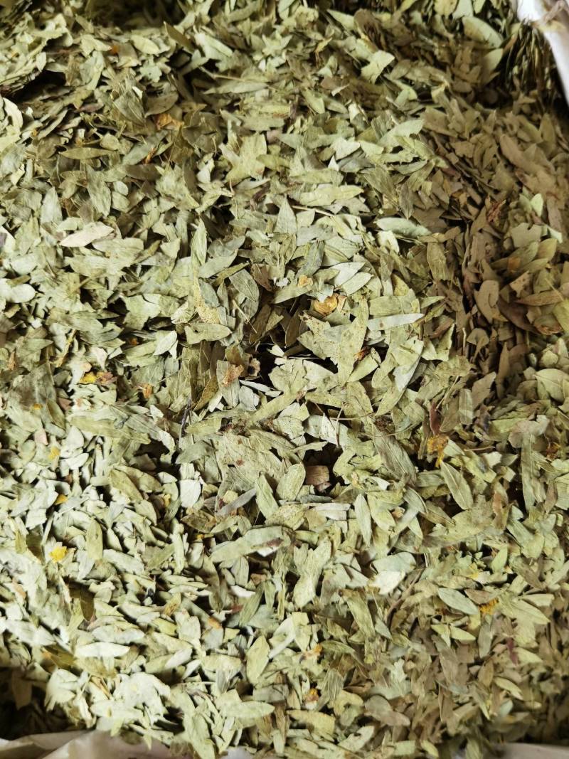 番泻叶新货番泻叶天然药材色泽鲜明品质保证