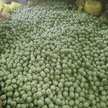 纸皮核桃