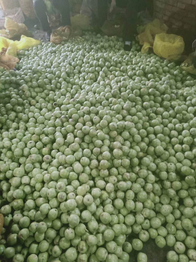 纸皮核桃