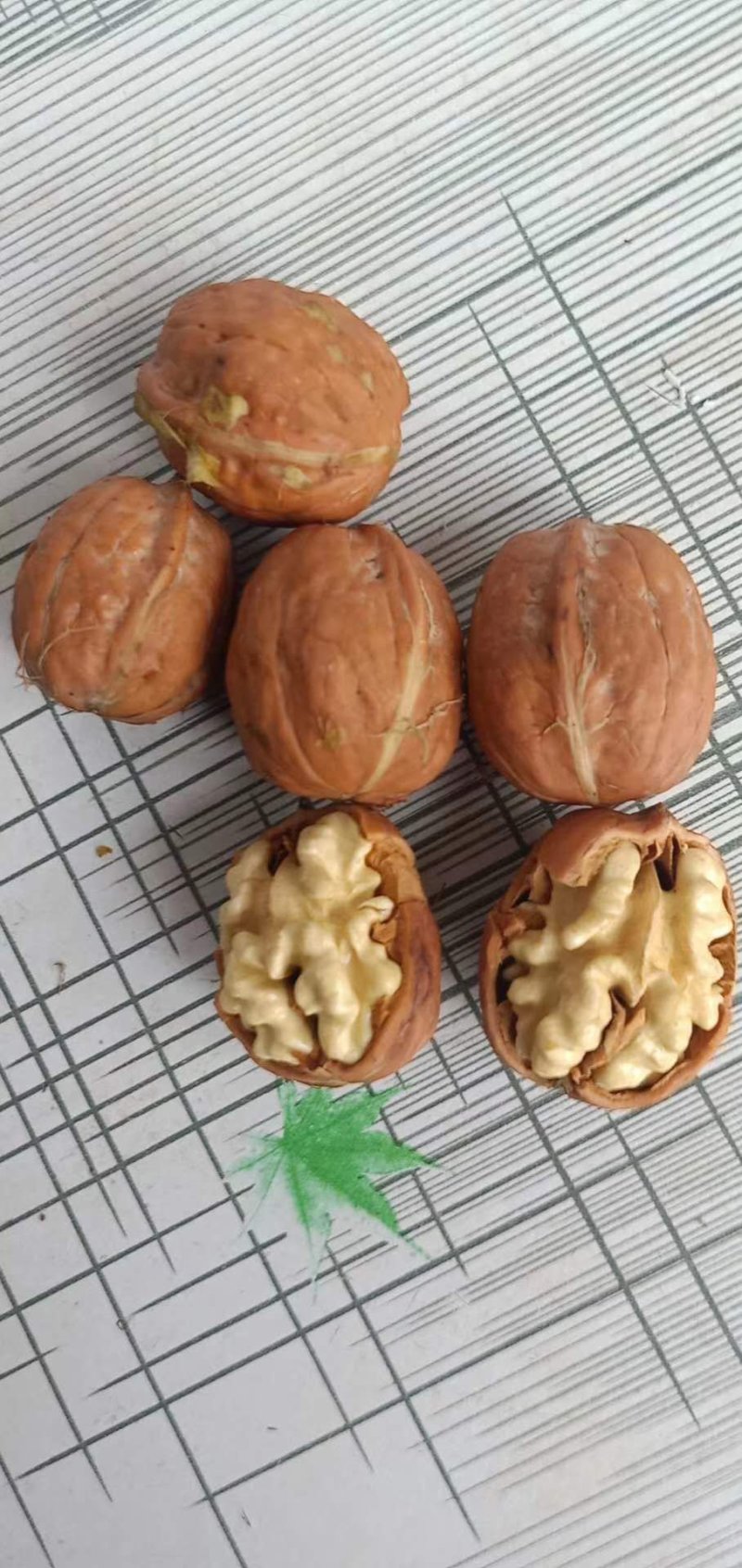 纸皮核桃