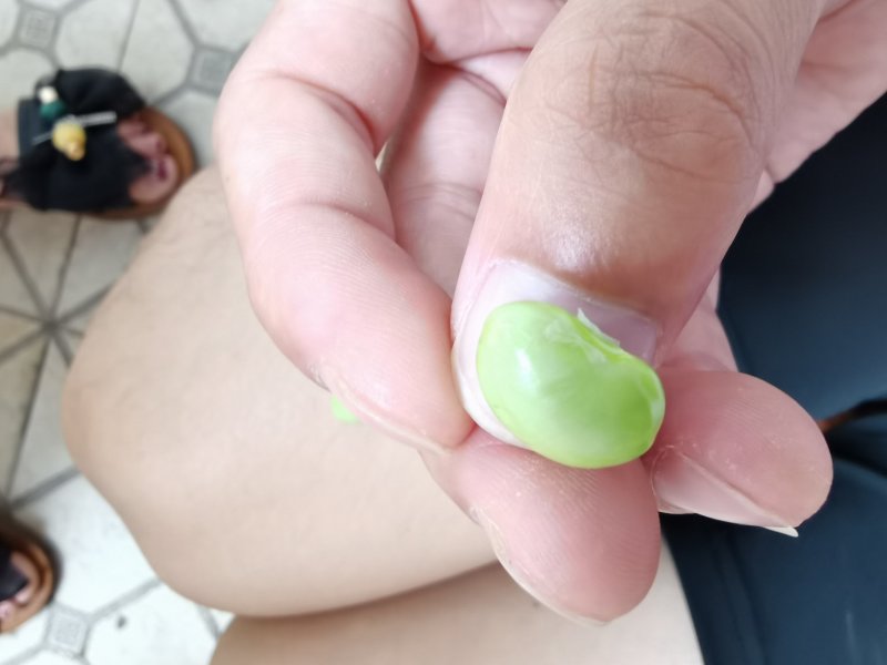 大青豆