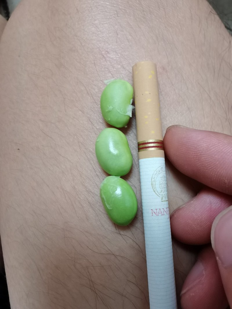 大青豆
