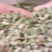 木贼，常年批发供应木贼节节草量大从优