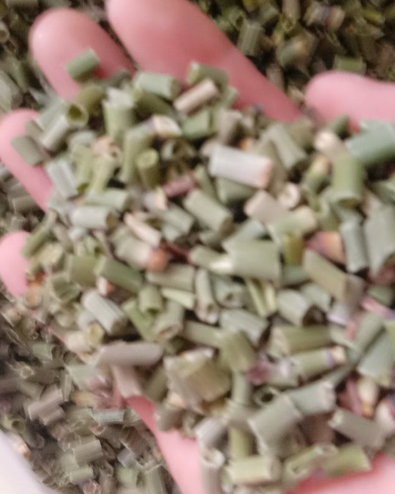 木贼，常年批发供应木贼节节草量大从优