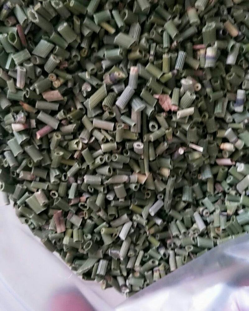 木贼，节节草常年批发供应木贼草中药材