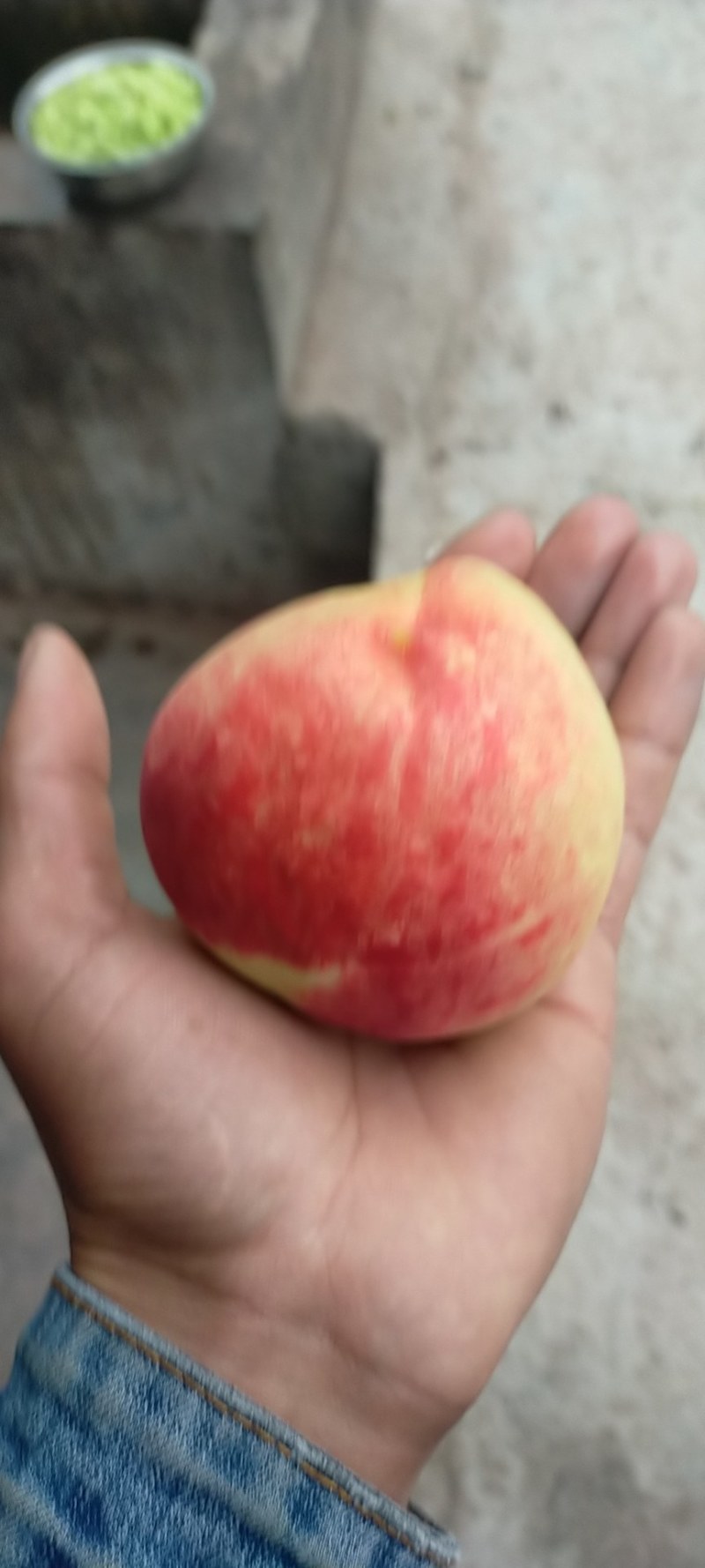 白凤桃，口味，脆，微甜