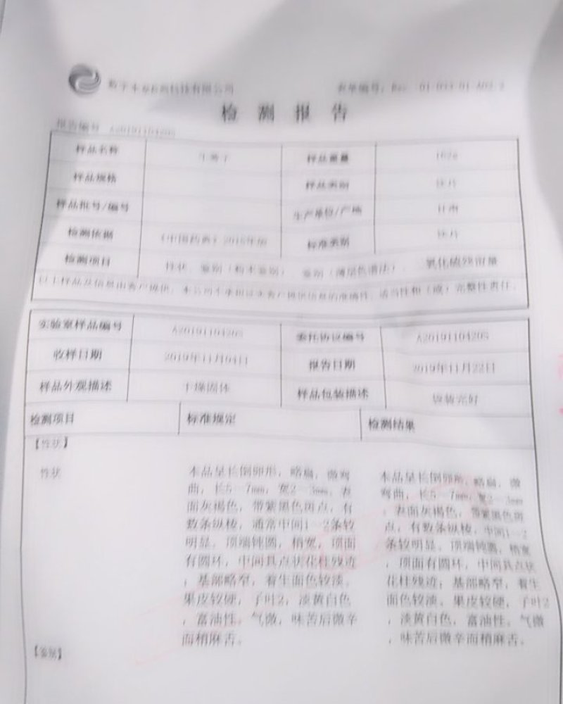 牛蒡子药典标准，精选，品质保障，量大从优