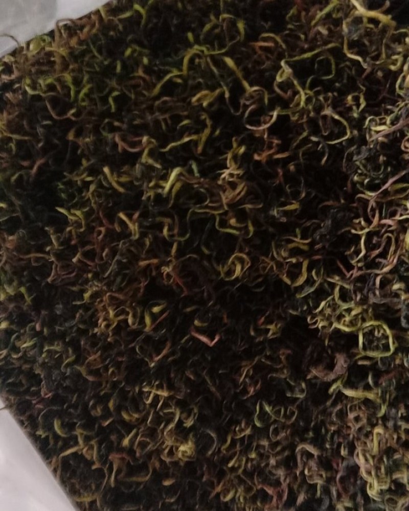 蒲公英，常年批发供应药食同源蒲公英中药材量大从优