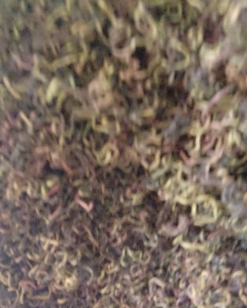 蒲公英，常年批发供应药食同源蒲公英中药材量大从优