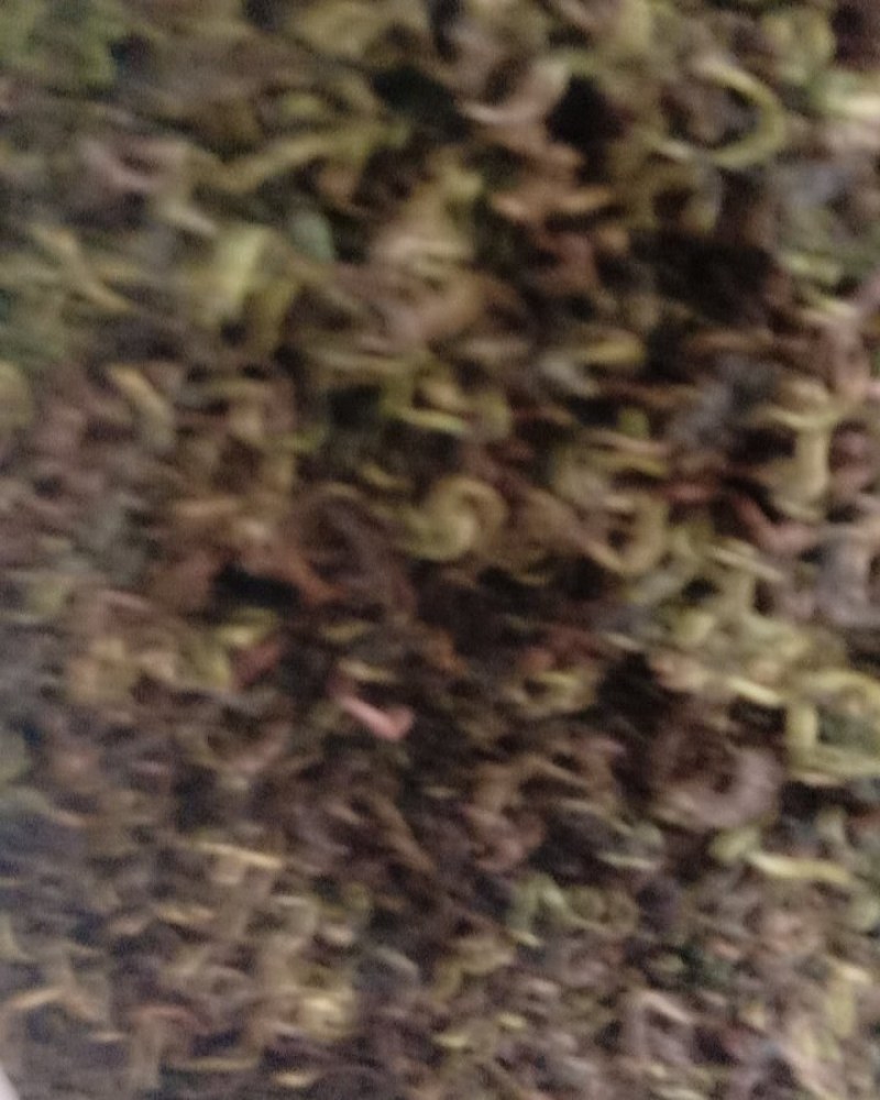 蒲公英，常年批发供应药食同源蒲公英中药材量大从优