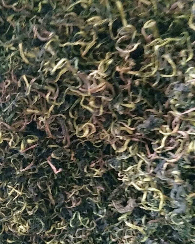 蒲公英，常年批发供应药食同源蒲公英中药材