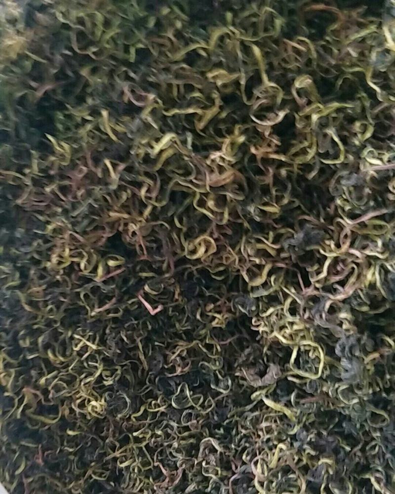 蒲公英，常年批发供应药食同源蒲公英中药材