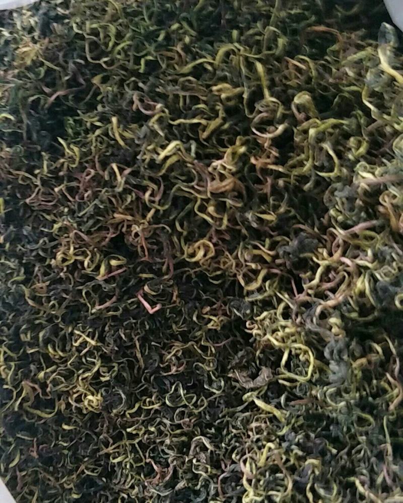 蒲公英，常年批发供应药食同源蒲公英中药材