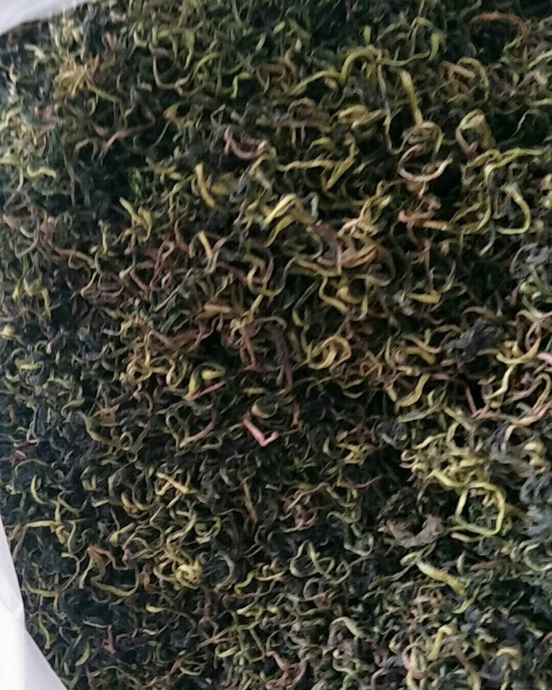 蒲公英，常年批发供应药食同源蒲公英中药材