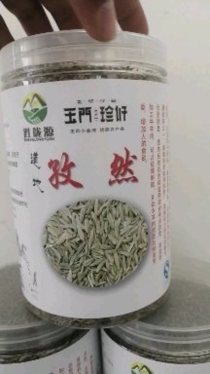 孜然孜然原产地甘肃玉门花海颗粒大饱满全国一手货源孜然