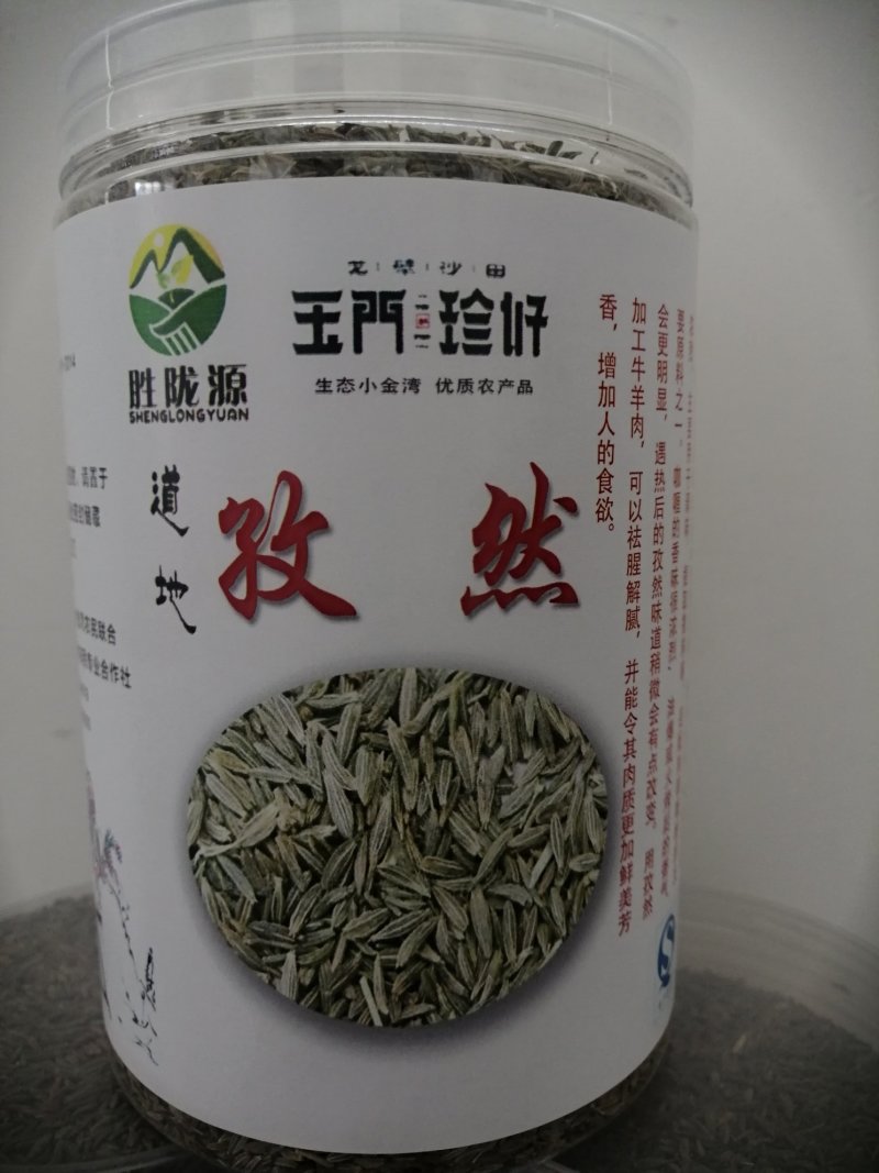 孜然孜然原产地甘肃玉门花海颗粒大饱满全国一手货源孜然