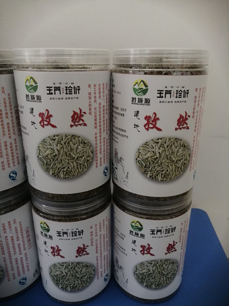 孜然孜然原产地甘肃玉门花海颗粒大饱满全国一手货源孜然