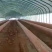 包塑养殖种植大棚厂家直销欢迎联系，30.60热度