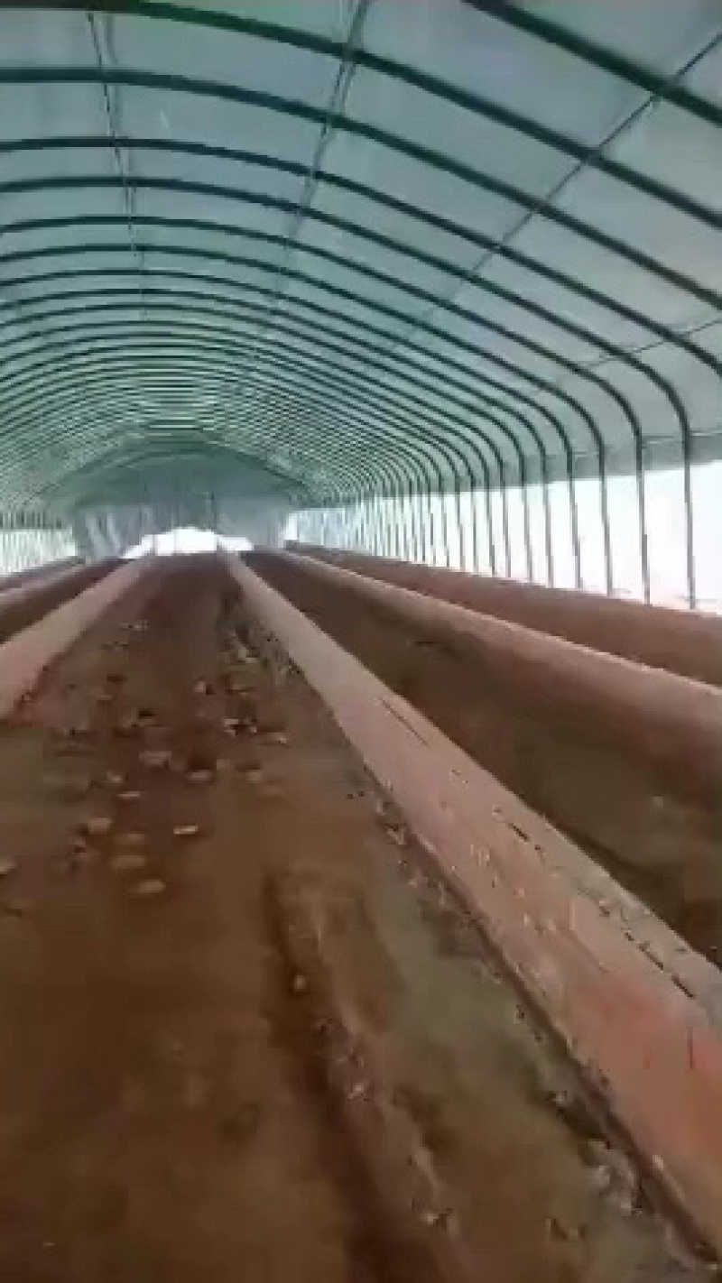 包塑养殖种植大棚厂家直销欢迎联系，30.60热度