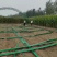包塑养殖种植大棚厂家直销欢迎联系，30.60热度