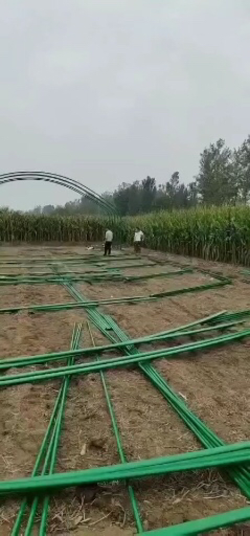 包塑养殖种植大棚厂家直销欢迎联系，30.60热度
