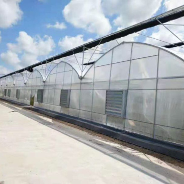 联动大棚厂家直销新型材料耐用价格实惠