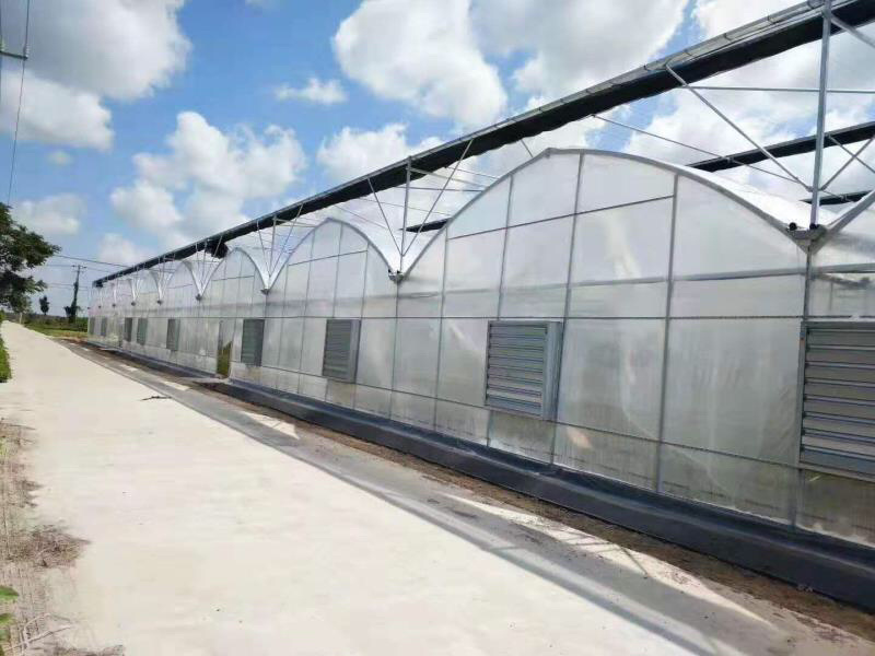 联动大棚厂家直销新型材料耐用价格实惠