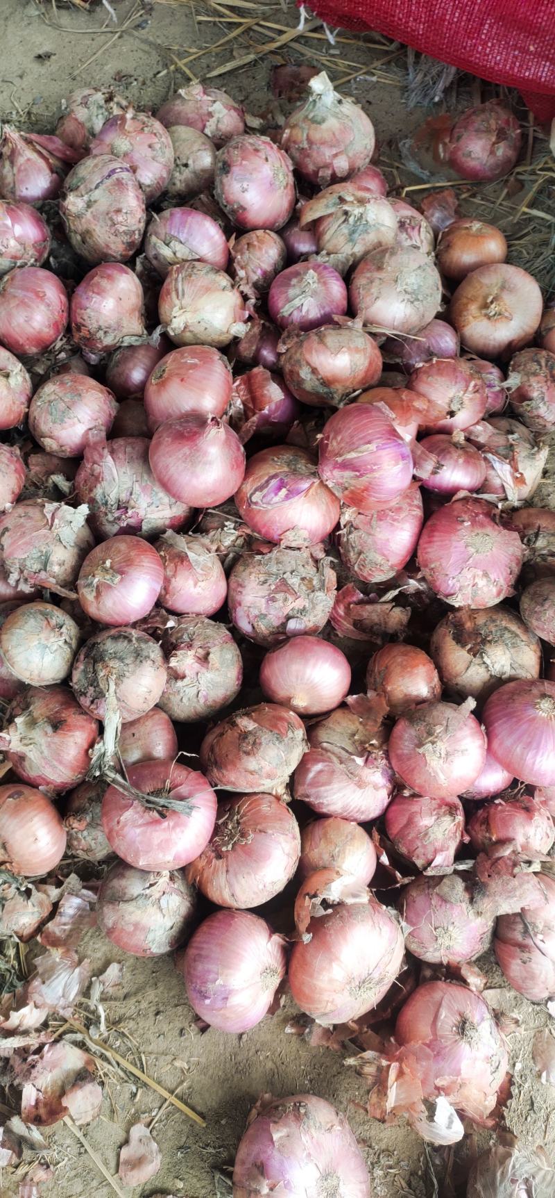 基地直供