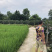 夏黑🔥巨峰葡萄巴适得很
