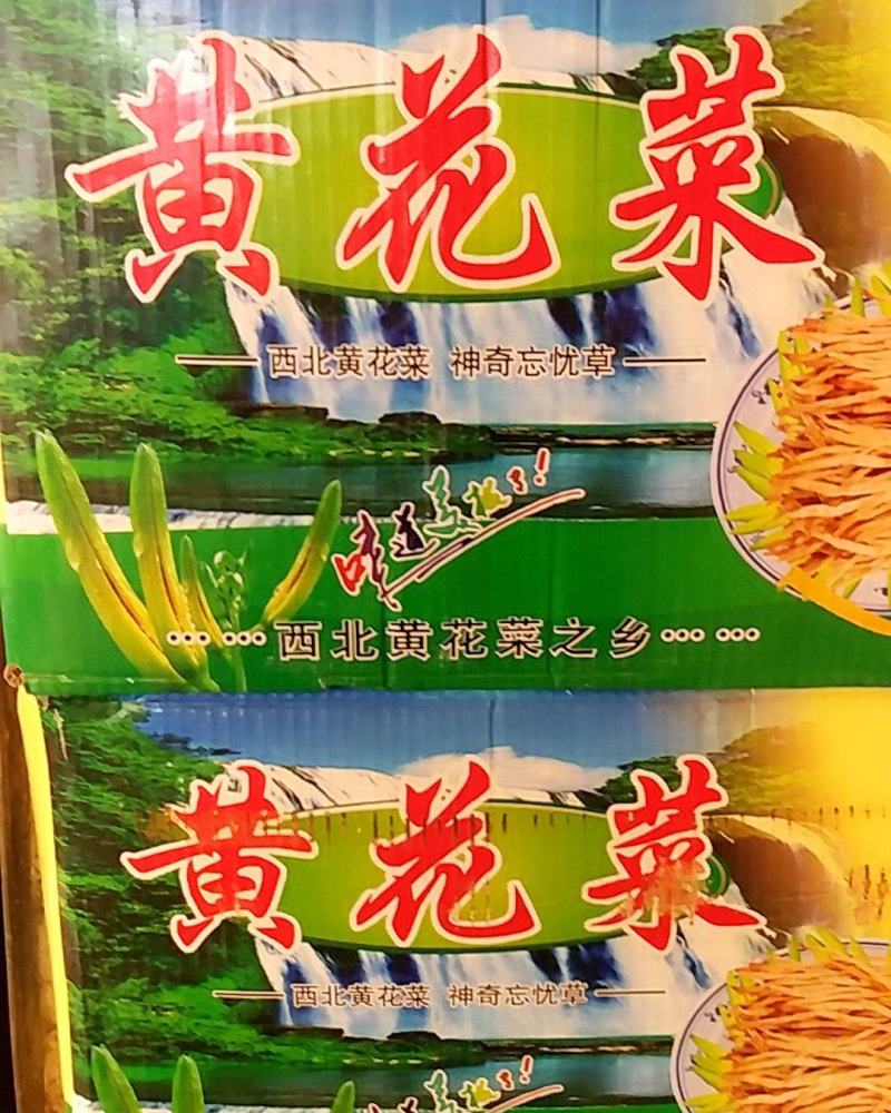 黄花菜