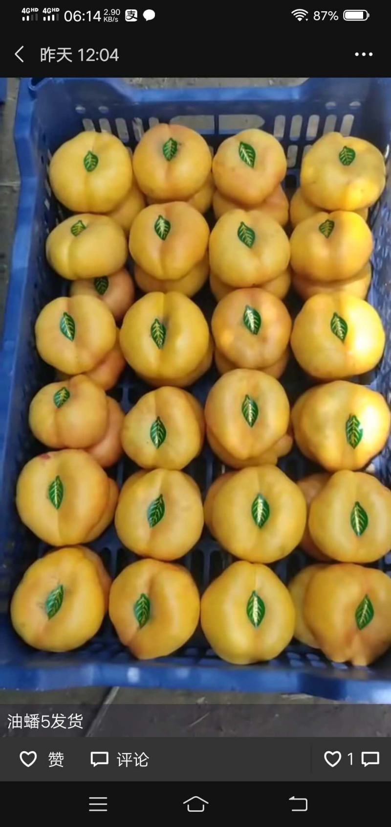 黄潘桃