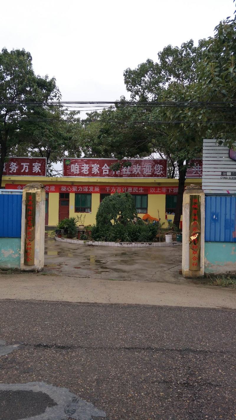 国家地标产品咱老家黑木耳(山西省运城市夏县泗交)