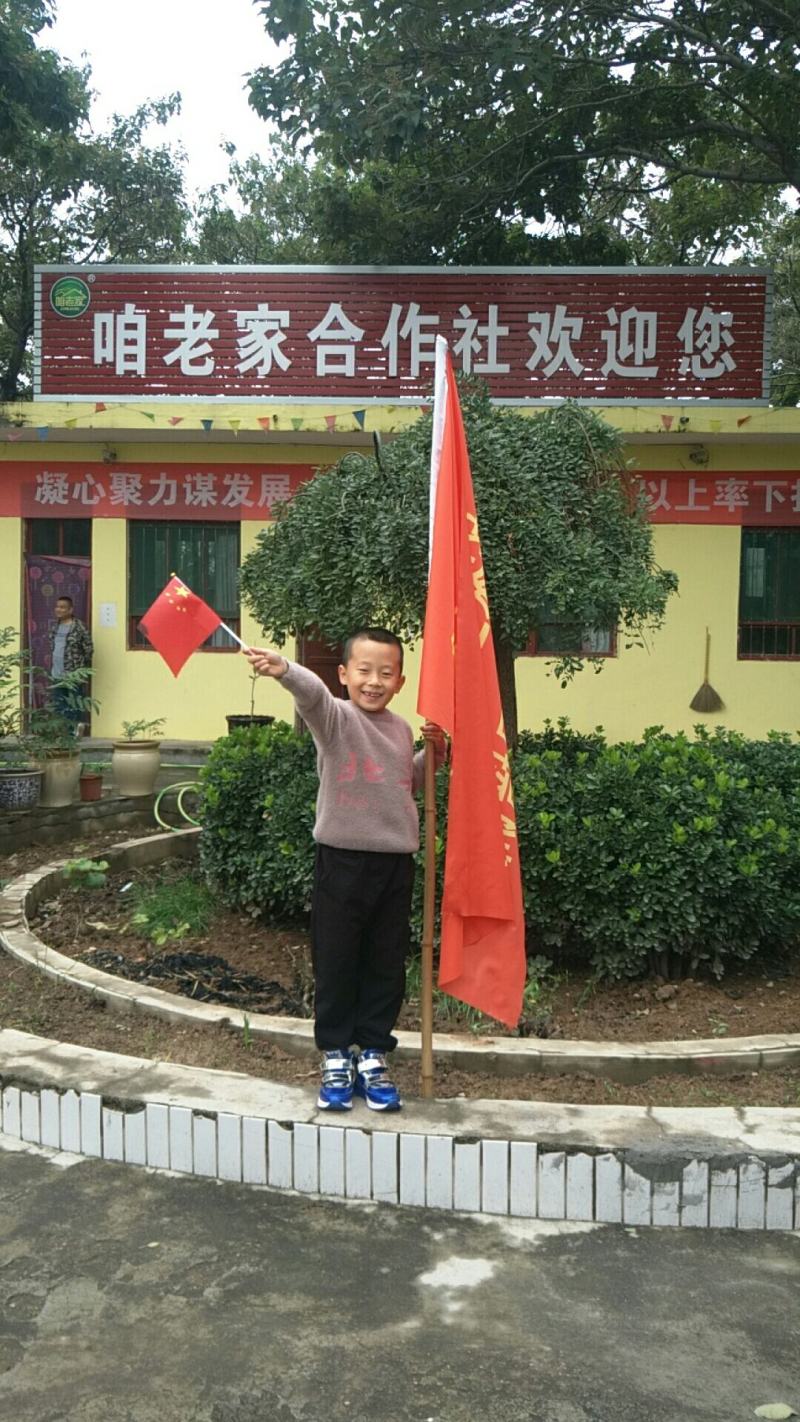 国家地标产品咱老家黑木耳(山西省运城市夏县泗交)