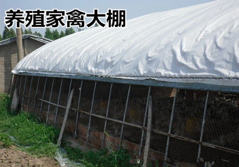 厂家直销：大棚膜，葡萄西瓜草莓专用膜，养殖专用黑白膜
