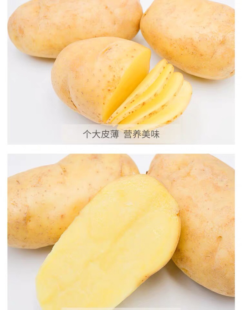 大凉山糯土豆，炒着吃脆，煮着吃糯