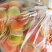 虾片……膨化食品口感清脆香甜