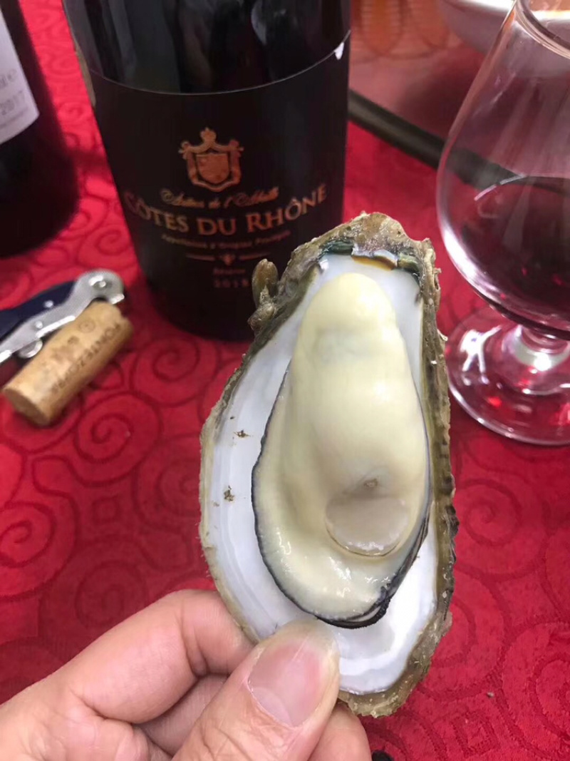 新鲜生蚝鲜活海蛎子烧烤贝类全壳蚝每天新鲜