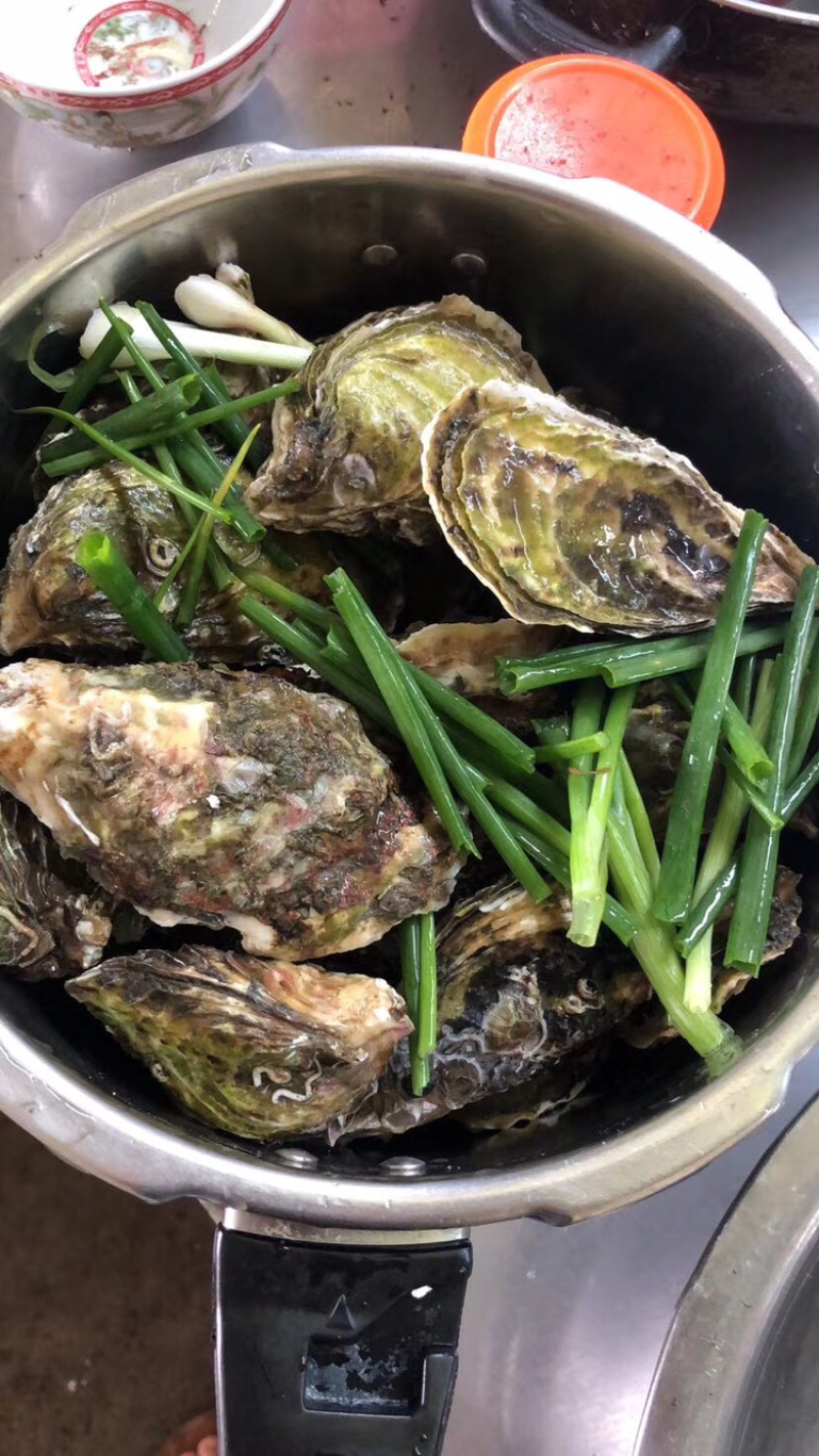 新鲜生蚝鲜活海蛎子烧烤贝类全壳蚝每天新鲜